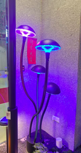 蘑菇造型灯